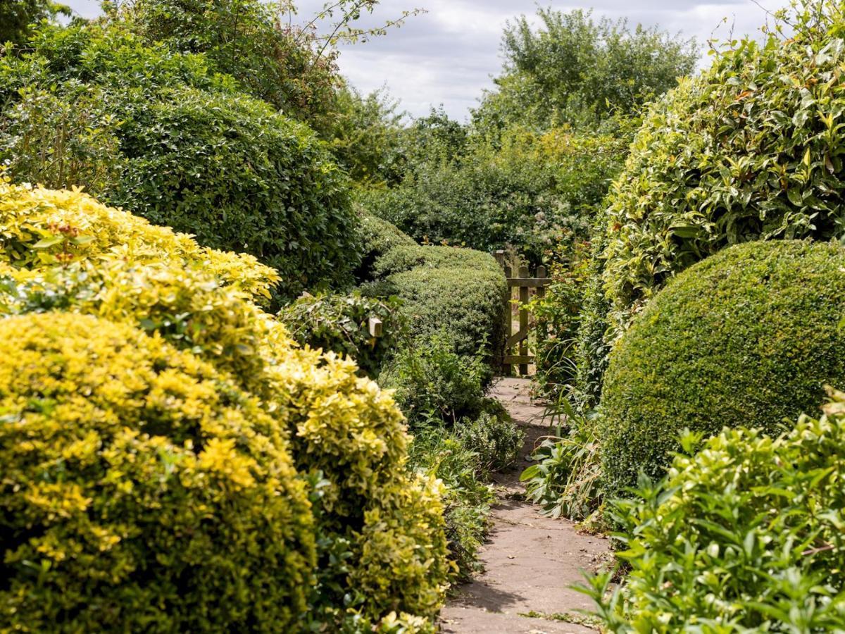 Pass The Keys Cosy Cottage With Views Over The Shropshire Hills Ludlow Zewnętrze zdjęcie